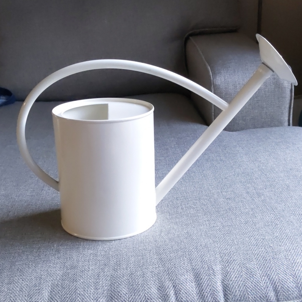 Hearth and hand watering can